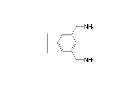 [3-(aminomethyl)-5-tert-butyl-benzyl]amine