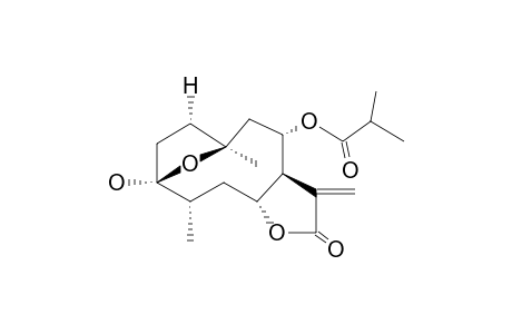 TILOTUNDIN-B