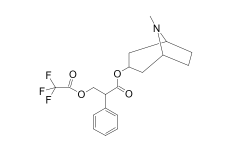 Atropine TFA                  @