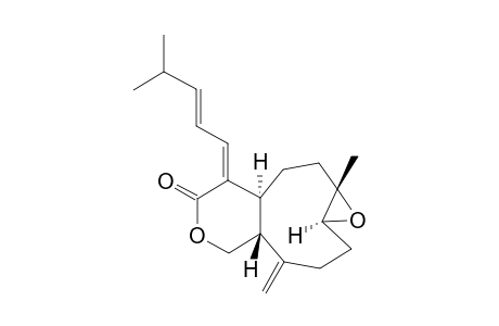 CESPITOLIDE