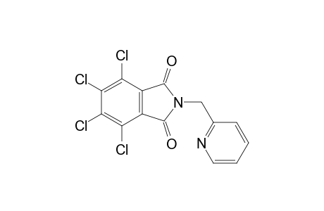 4,5,6,7-Tetrachloro-2-(pyridin-2-yl-methyl)isoindoline-1,3-dione