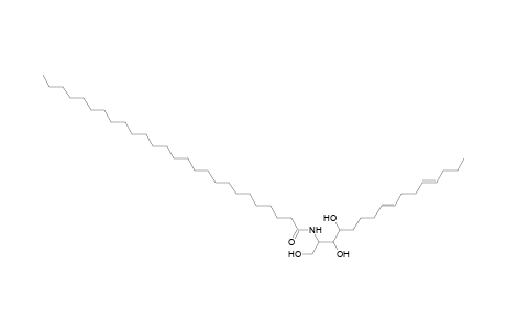 Cer 16:2;3O/26:0