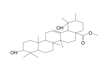 Urs-12-en-28-oic acid, 3,19-dihydroxy-, methyl ester, (3.beta.)-