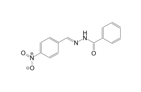 benzoic acid, (p-nitrobenzylidene)hydrazide