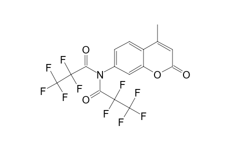 7-bis(Pentafluoropropionyl)amino-4-methylcoumarin