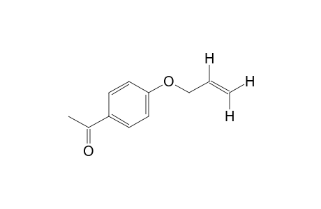 4'-(allyloxy)acetophenone