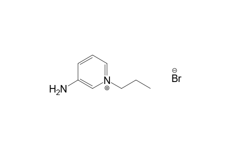 3-amino-1-propylpyridinium bromide