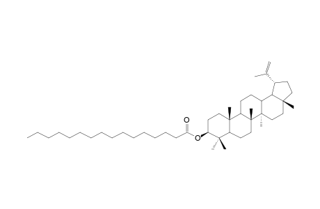 LUPENYL-PALMITATE