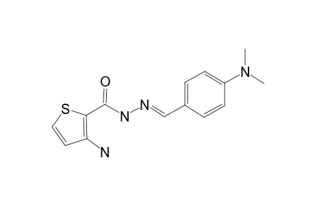 3-AMINO-N'-[(1E)-(4-DIMETHYLAMINOPHENYL)-METHYLENE]-2-THIOPHENECARBOHYDRAZIDE;LASSBIO-1653