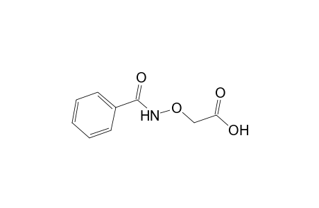 (benzamidooxy)acetic acid