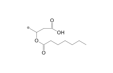 Heptanoylcarnitine MS3_1