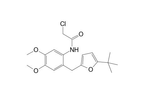 N-{2-[(5-tert-Butyl-2-furyl)methyl]-4,5-dimethoxyphenyl}-2-chloroacetamide