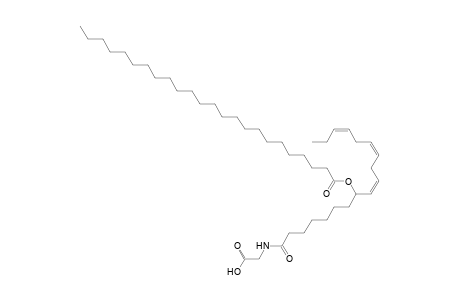 NAGly 24:0/18:3