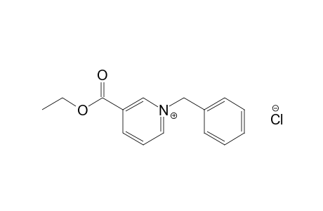 1-benzyl-3-carboxypyridinium chloride, ethyl ester