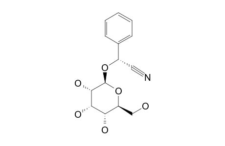 PASSIEDULIN