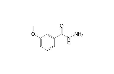 m-Anisic hydrazide