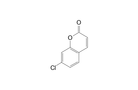 7-CHLORCOUMARIN