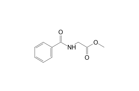 Hippuric acid methyl ester