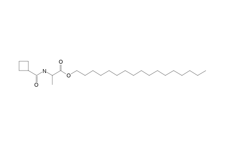 L-Alanine, N-cyclobutylcarbonyl-, heptadecyl ester