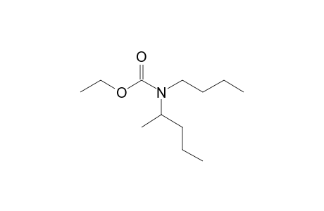 Carbonic acid, monoamide, N-(2-pentyl)-N-butyl-, ethyl ester