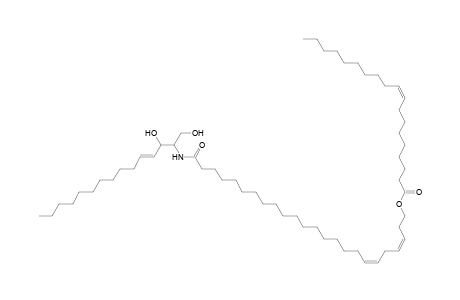 Cer 15:1;2O/24:2;O(FA 19:1)