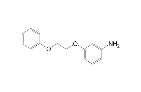 m-(2-phenoxyethoxy)aniline