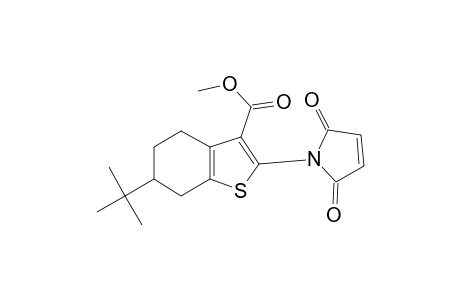 Benzothiophene-3-carboxylic acid, 4,5,6,7-tetrahydro-6-(1,1-dimethylethyl)-2-(2,5-dioxo-3-pyrrolin-1-yl)-, methyl ester