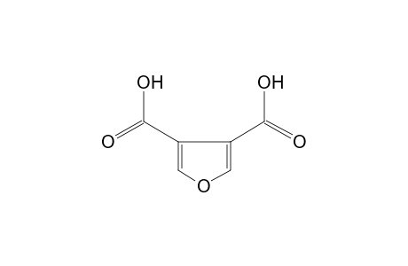 3,4-Furan dicarboxylic acid