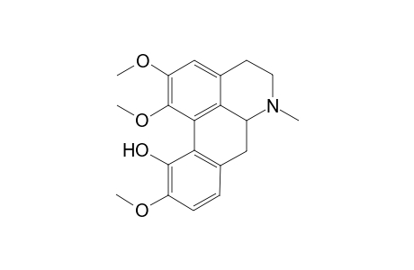 Isocoridine