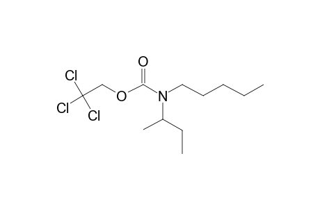 Carbamic acid, N-(2-butyl)-N-pentyl-, 2,2,2-trichloroethyl ester