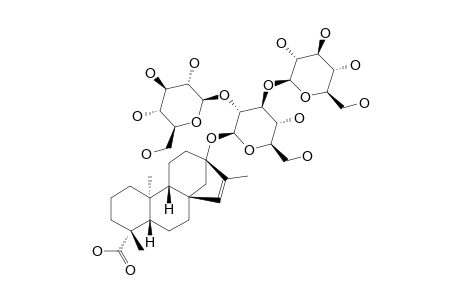 13-[(2-O-BETA-D-GLUCOPYRANOSYL-3-O-BETA-D-GLUCOPYRANOSYL-BETA-D-GLUCOPYRANOSYL)-OXY]-ENT-KAUR-15-EN-19-OIC-ACID