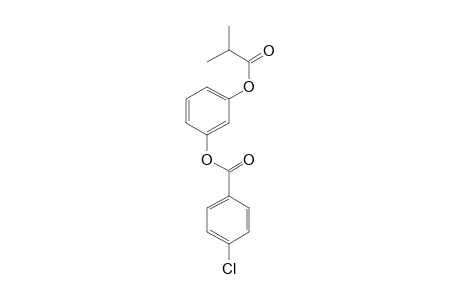 1,3-Benzenediol, o-(4-chlorobenzoyl)-o'-isobutyryl-