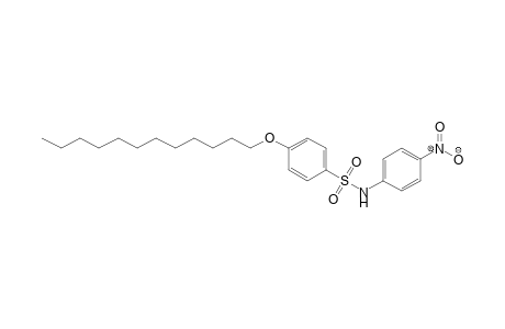 Benzenesulfonamide, 4-(dodecyloxy)-N-(4-nitrophenyl)-