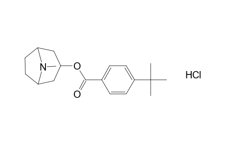 tropan-3-ol, p-tert-butylbenzoate (ester), hydrochloride