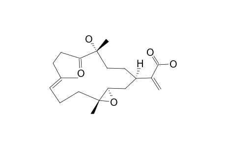 FLEXIBILIN-B