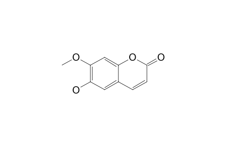 Isoscopoletin