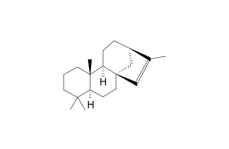 Isophyllocladene