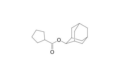 Cyclopentanecarboxylic acid, 2-adamantyl ester