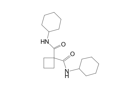 N,N'-DICYCLOHEXYL-1,1-CYCLOBUTANEDICARBOXAMIDE