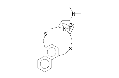 2,13-DITHIA[3](1,4)NAPHTHALINO[3](2,6)PYRIDINOPHANE, 19-(DIMETHYLAMINO-