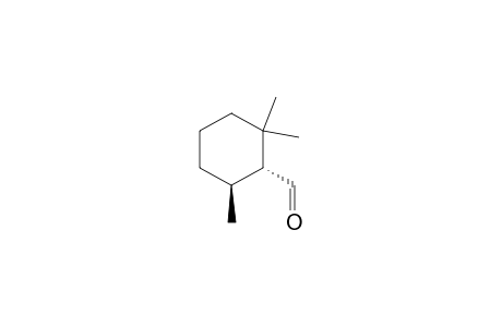 (+)-(1R,6S)-2,2,6-TRIMETHYLCYCLOHEXANE-1-CARBALDEHYDE