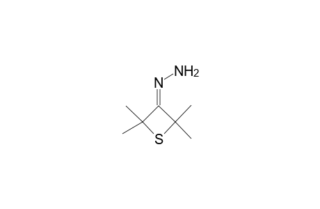 2,2,4,4-tetramethyl-3-thietanone hydrazone