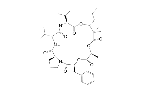 PALMYRAMIDE_A