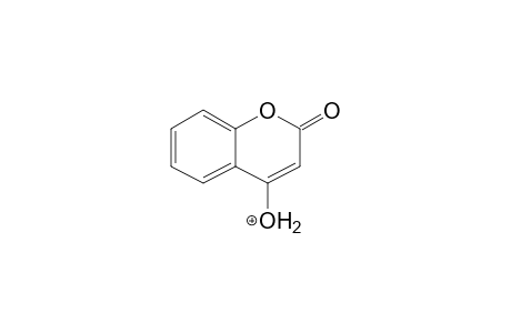 Warfarin MS3_2