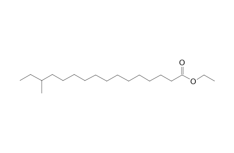 Ethyl 14-methyl-hexadecanoate