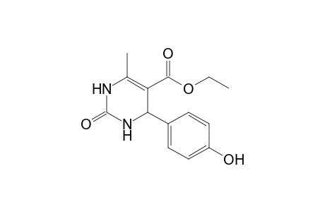 4-(4-hydroxyphenyl)-2-keto-6-methyl-3,4-dihydro-1H-pyrimidine-5-carboxylic acid ethyl ester