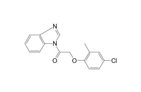 1-(1-Benzimidazolyl)-2-(4-chloro-2-methylphenoxy)ethanone