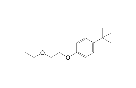 Benzene, 1-(1,1-dimethylethyl)-4-(2-ethoxyethoxy)-