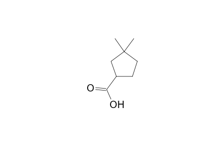 Cyclopentanecarboxylic acid, 3,3-dimethyl-