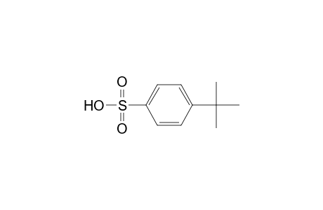 4-tert-Butylbenzenesulfonic acid